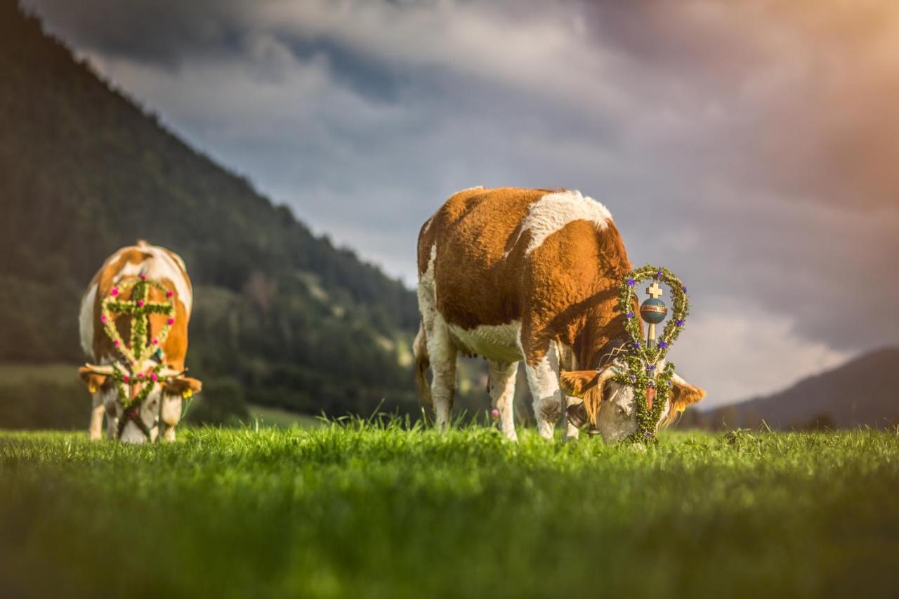 Der Anderlbauer Am See Schliersee Luaran gambar