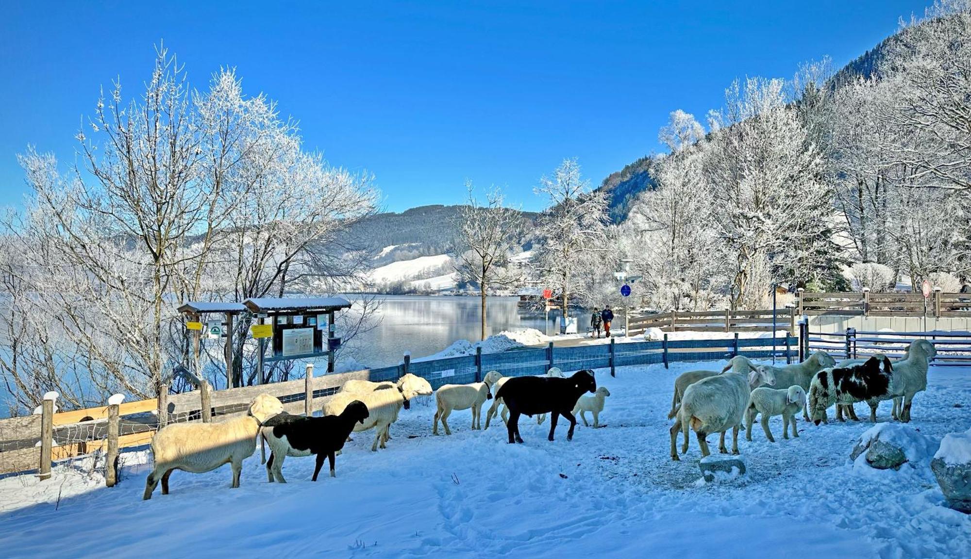 Der Anderlbauer Am See Schliersee Luaran gambar